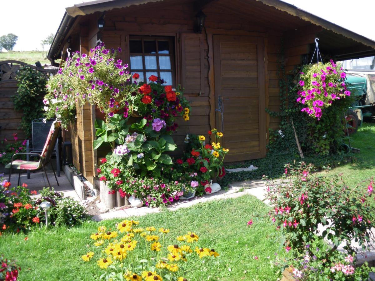 Pension Haus Ludwig Schotten Luaran gambar